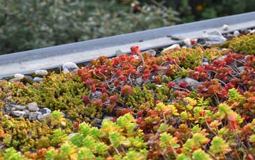 the cost of Penny Bridge green roof installation